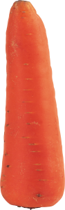 Carrot PNG image-4980